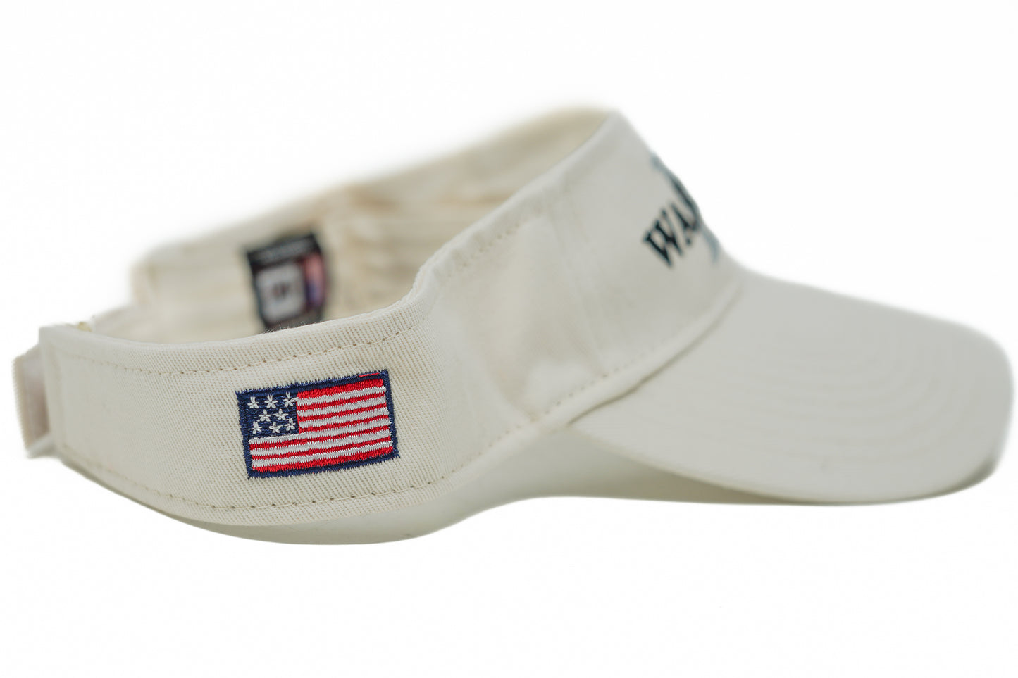 Washington DC Visor