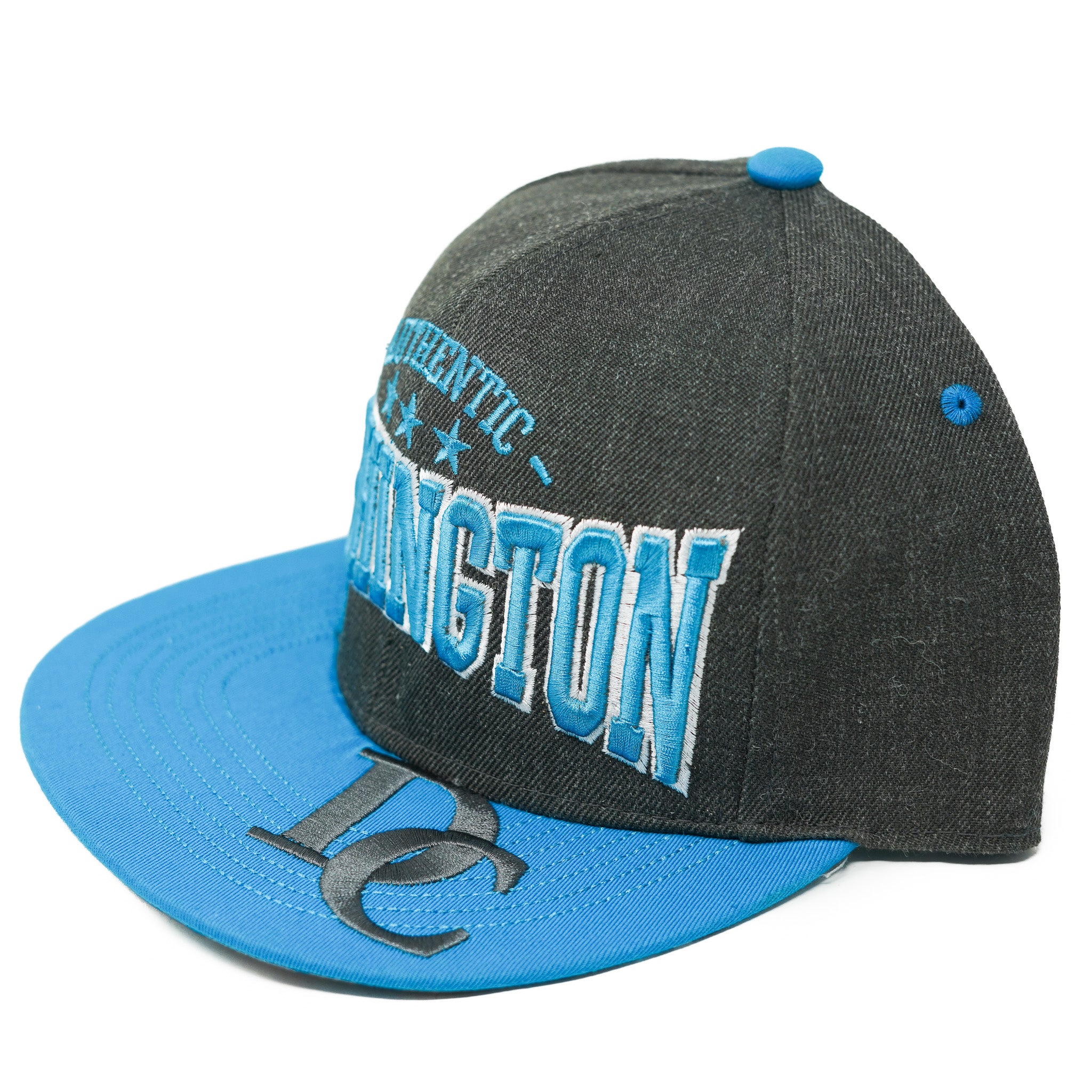 Washington DC Stretched Text Snapback