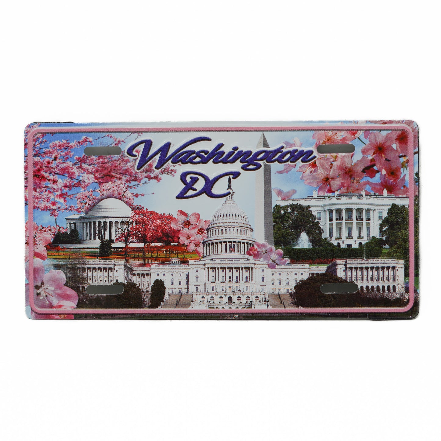 License Plate Souvenir Magnets (2 Styles)