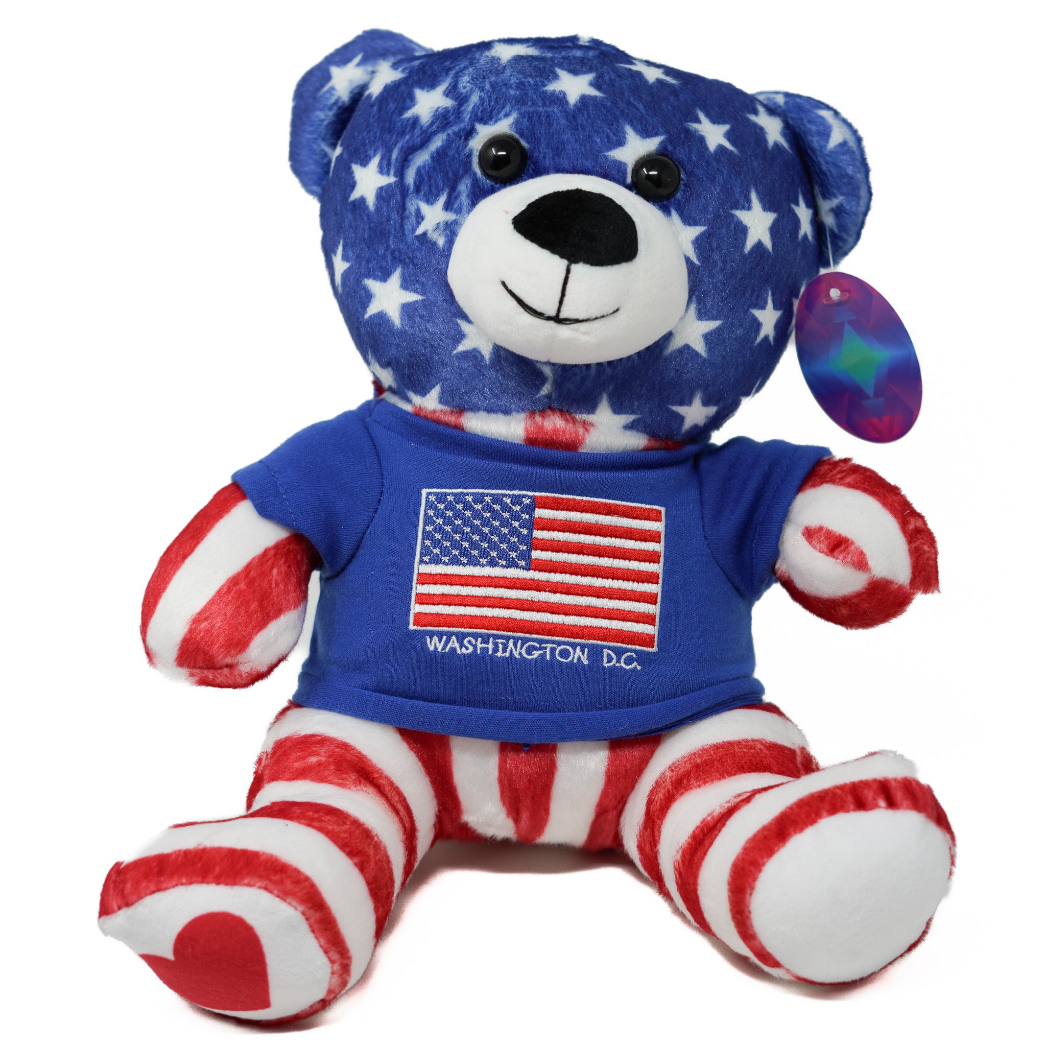 Washington DC Teddy Bear with Shirt