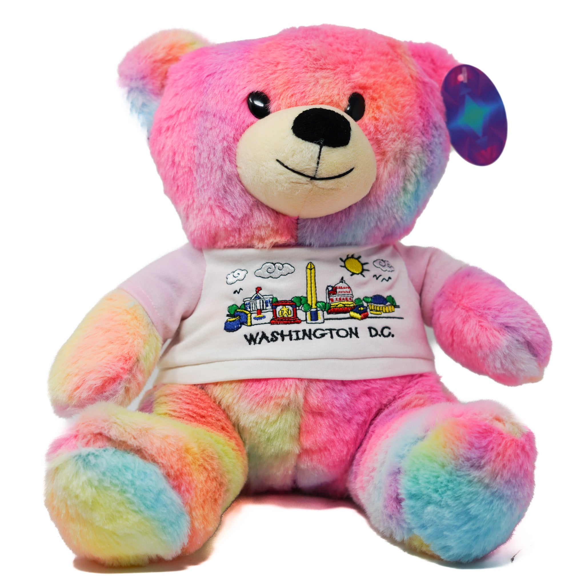 Washington DC Teddy Bear with Shirt