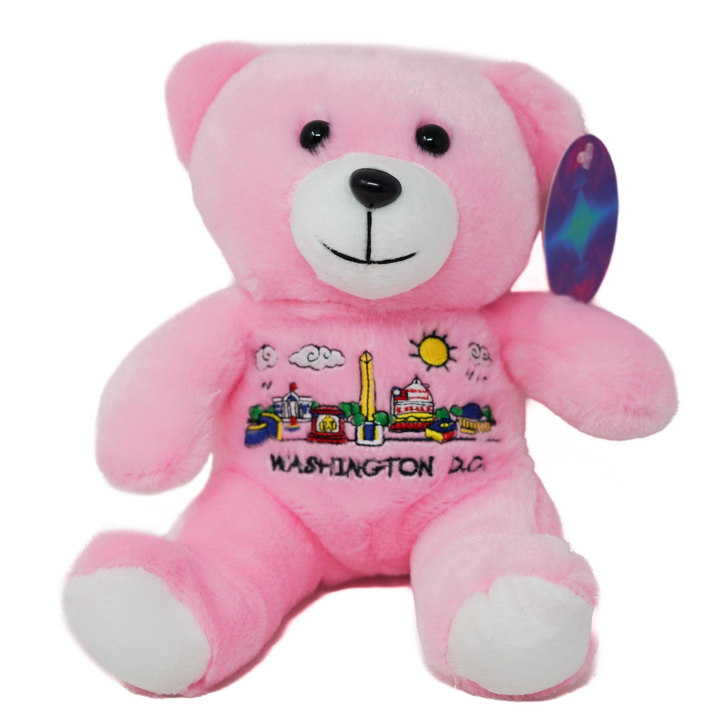 Washington DC Teddy Bear