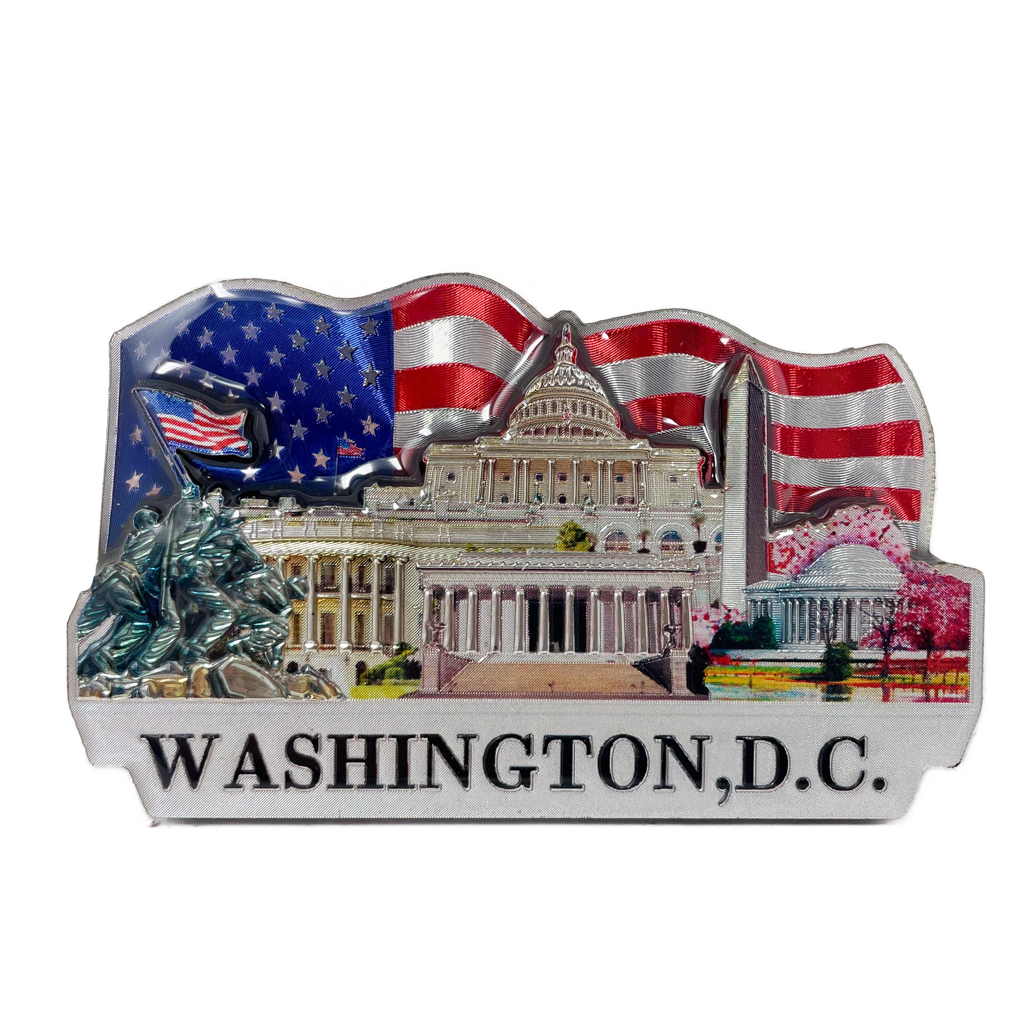 3D Washington DC Magnets (Multiple Styles)