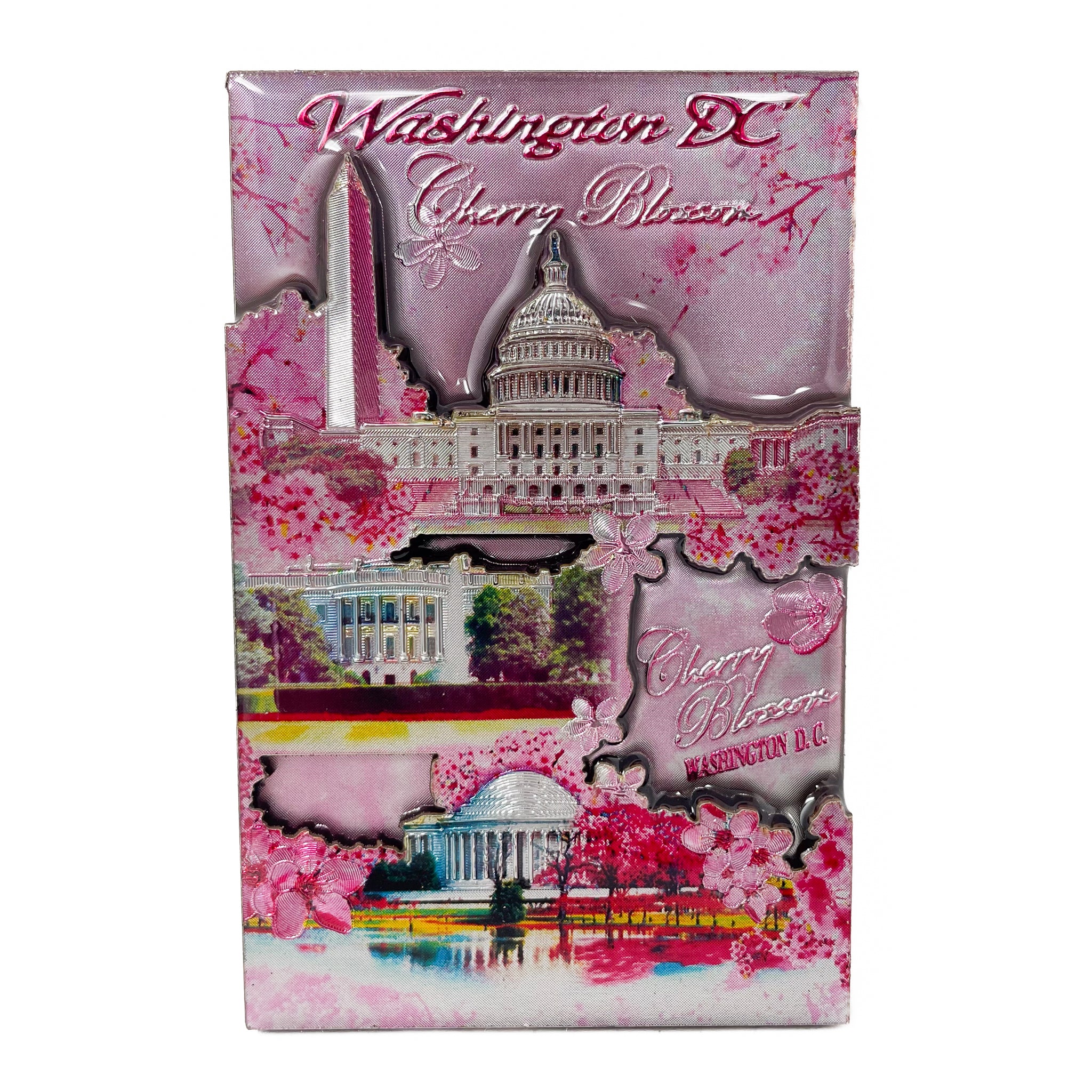 3D Washington DC Magnets (Multiple Styles)