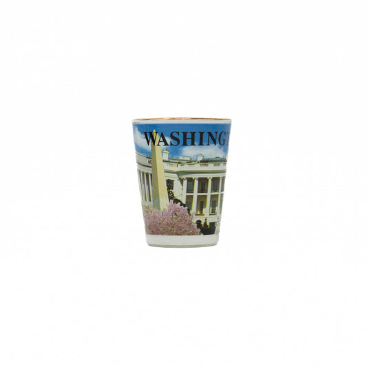 Washington DC Panoramic Shot Glass