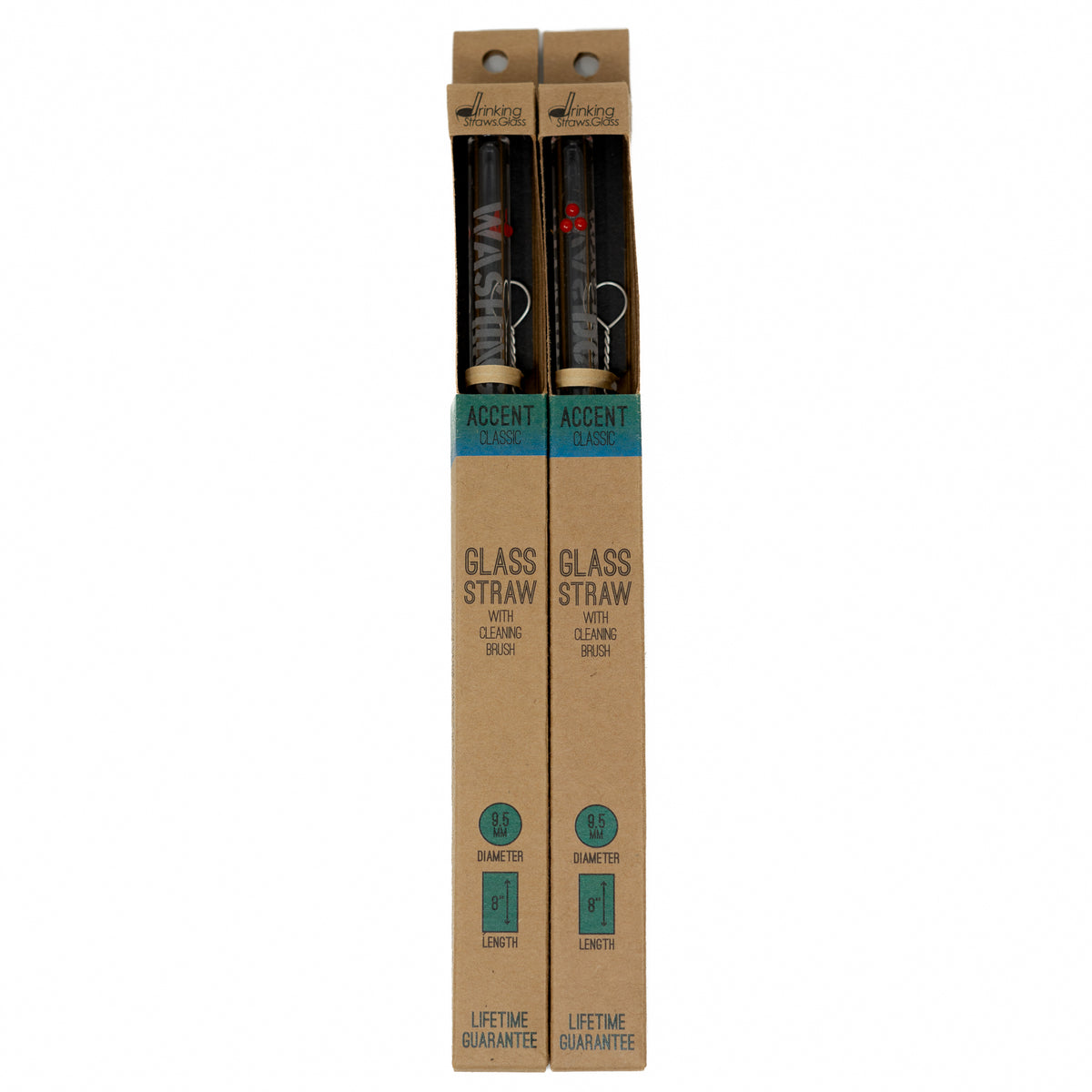 Washington DC Glass Straw (5 Styles)