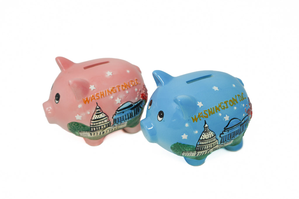 Washington DC Souvenir Piggy Bank
