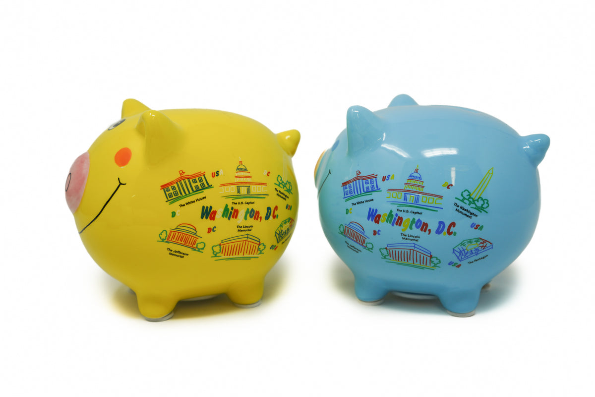 DC Souvenir Piggy Bank