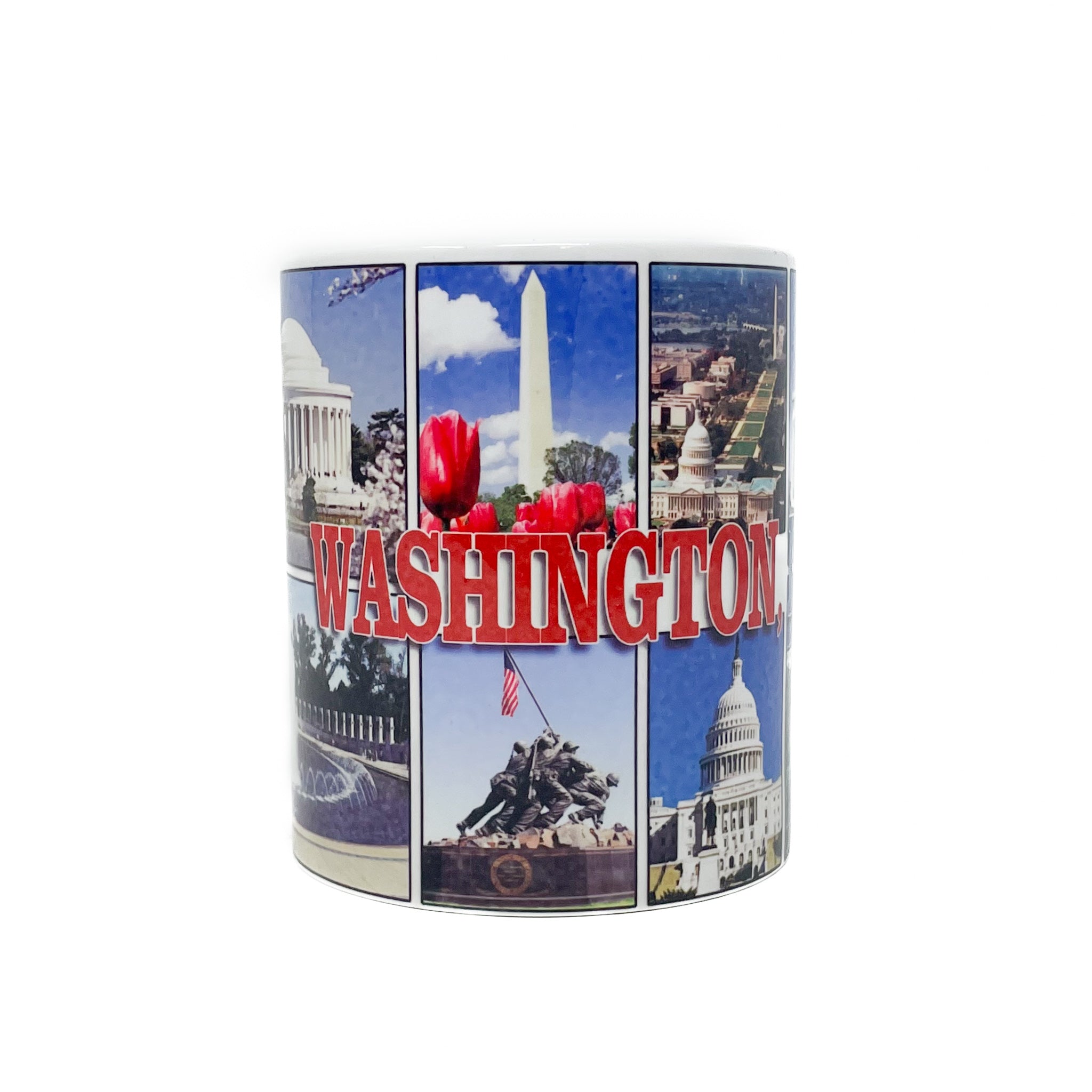 Washington D.C. Classic Mugs