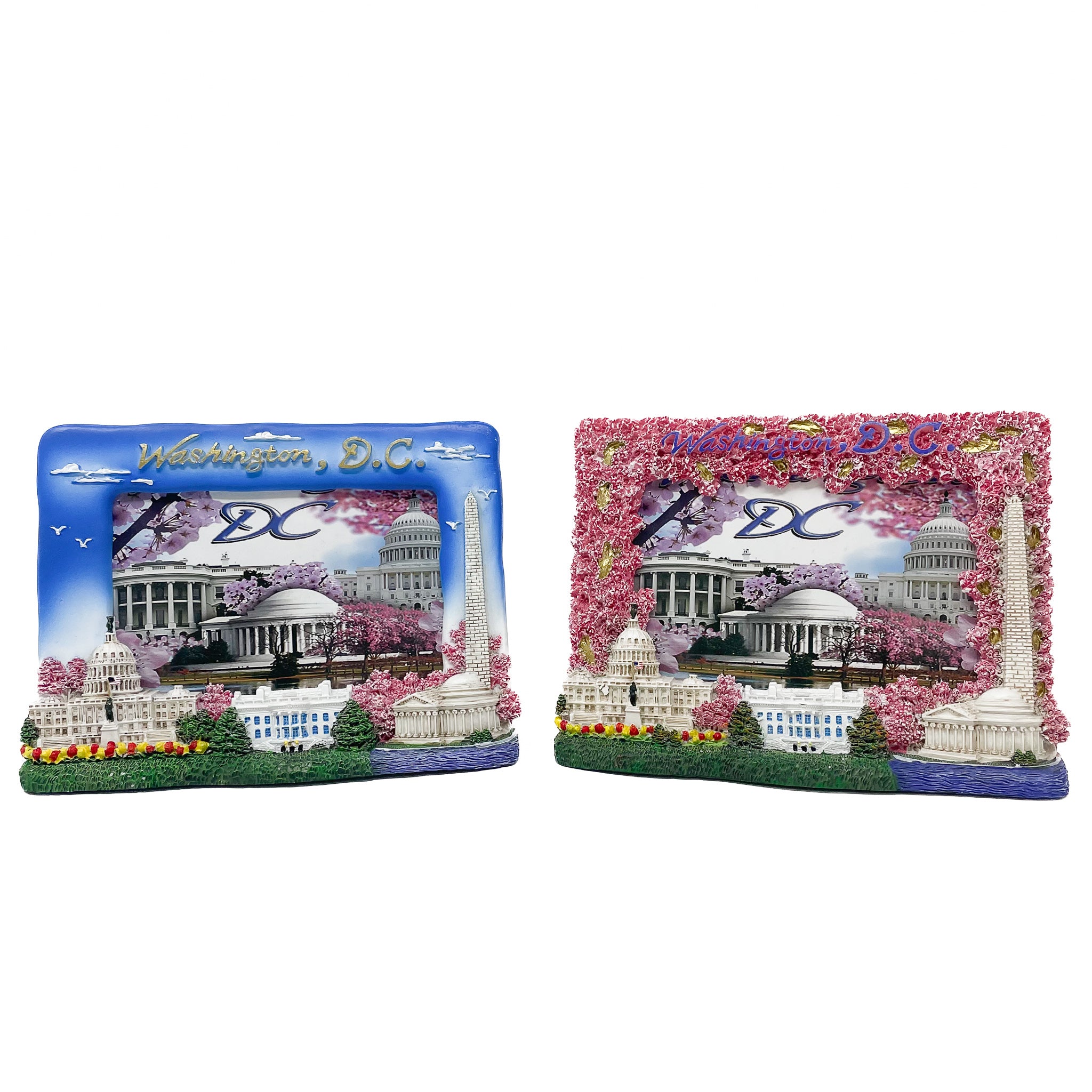 Washington D.C. Picture Frames