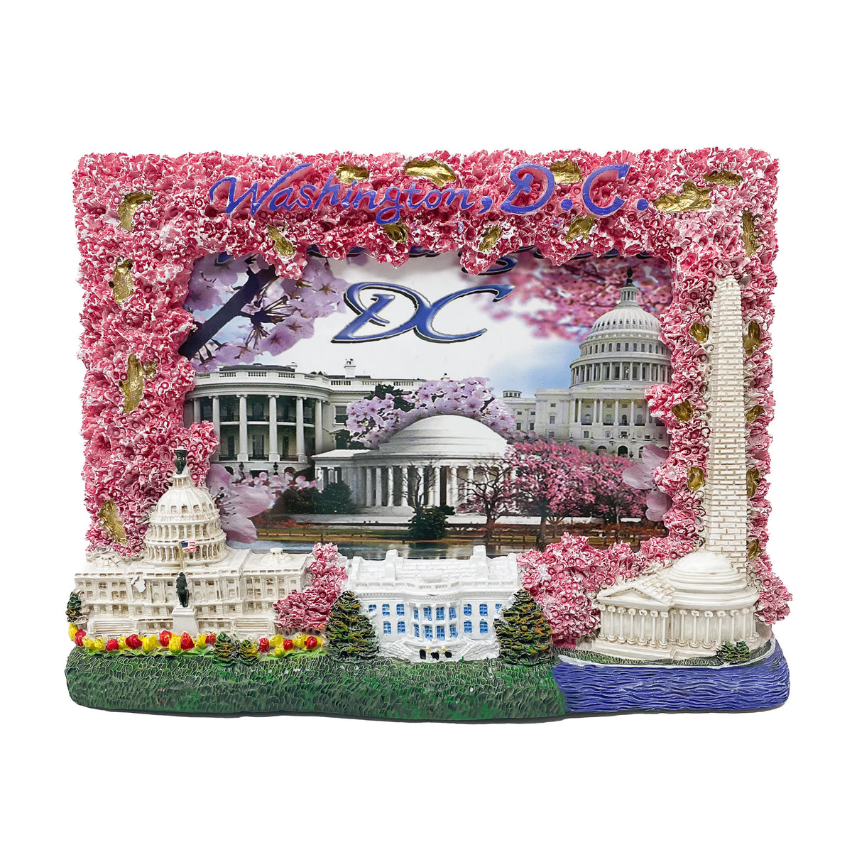 Washington D.C. Picture Frames