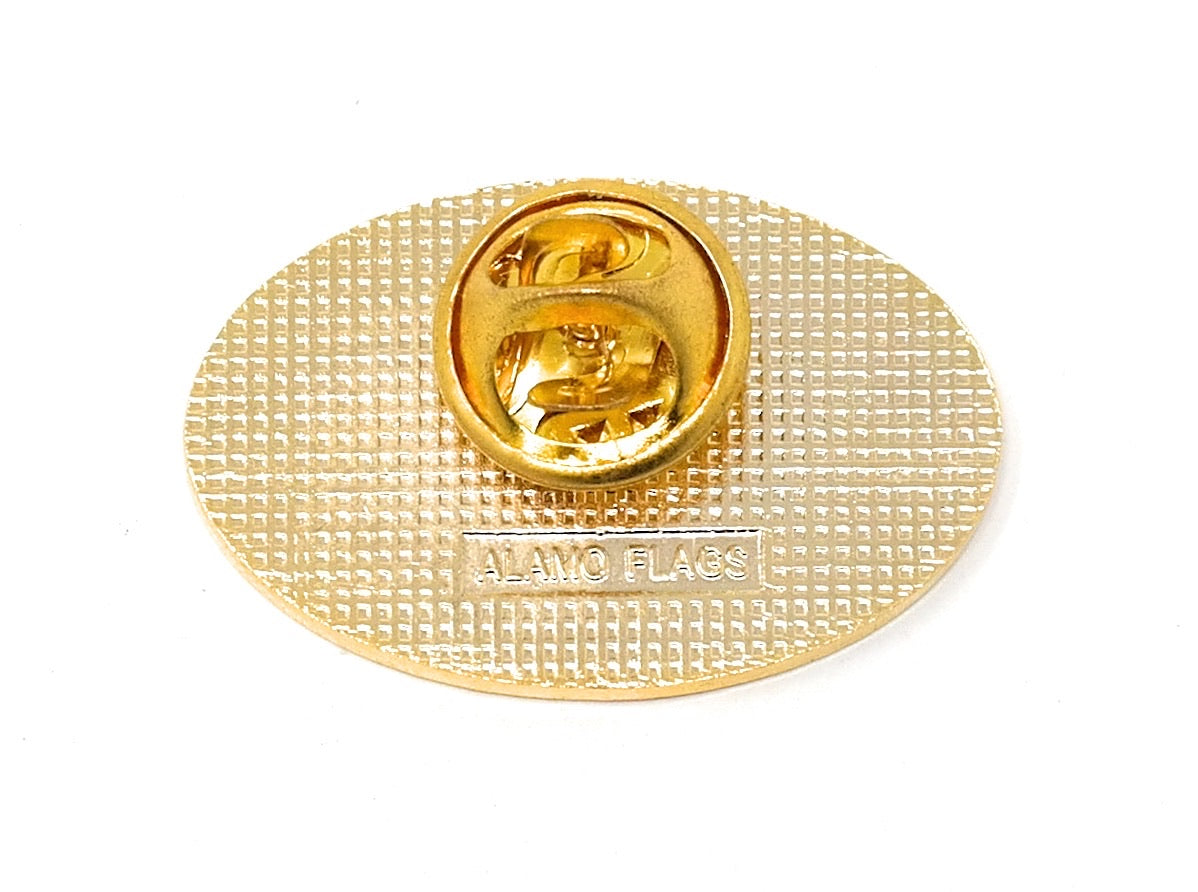 The White House Washington DC Colored  Lapel Pin